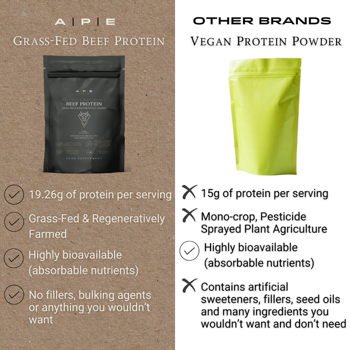 Grass-Fed Beef Protein | Raw Cacao & Maple Sea Salt