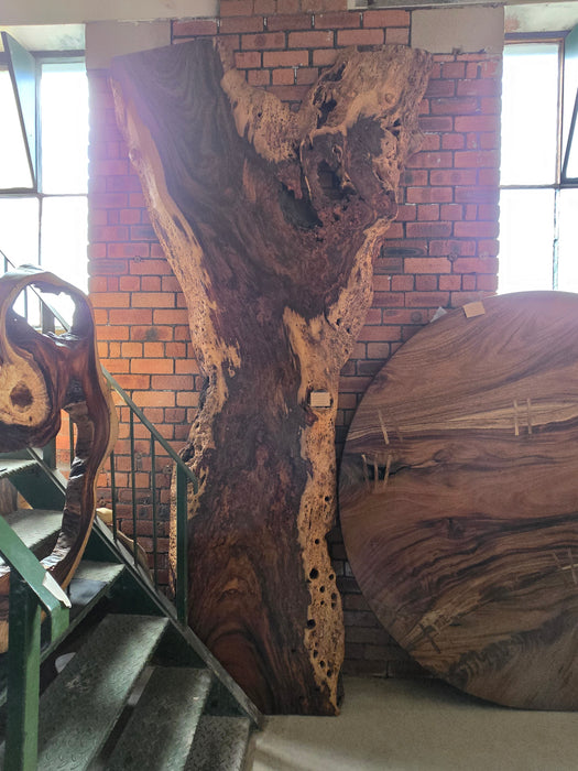 Reduxwood Chamcha Burl 80cm x 320cm