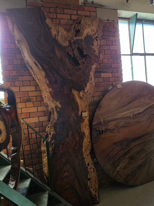 Reduxwood Chamcha Burl 80cm x 320cm
