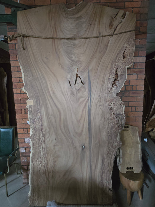 Reduxwood White Chamcha 140cm x 390cm