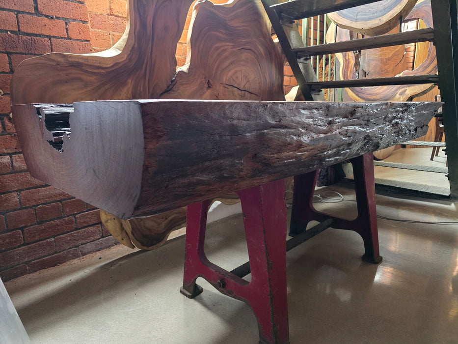 Reduxwood Zapatero( Amargo) coffee table “The Beast” 20cm x 75cm x 200cm