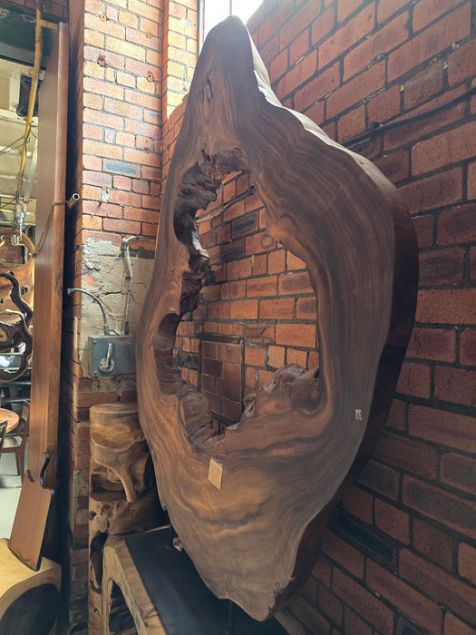 Reduxwood Chamcha Huge Standing  hollow 8cm x 150cm x 185cm