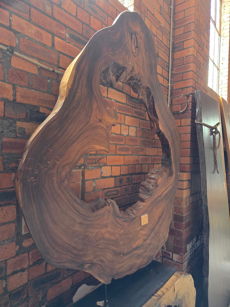 Reduxwood Chamcha Huge Standing  hollow 8cm x 150cm x 185cm