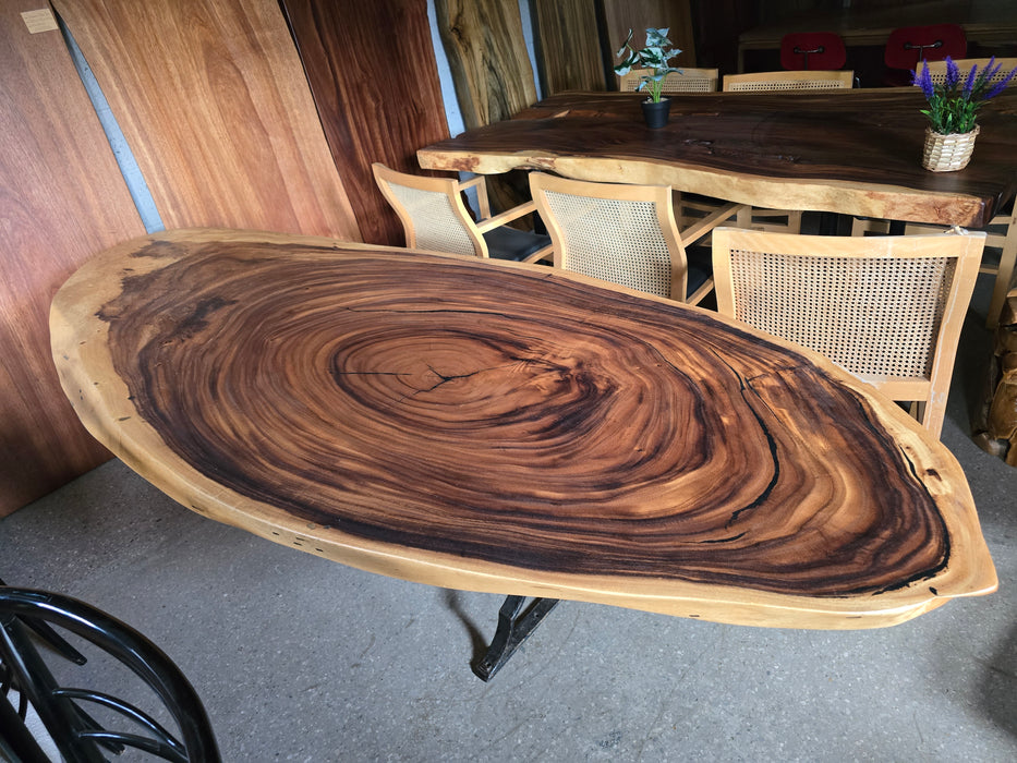Reduxwood Chamcha oval table 90cm x2.86m
