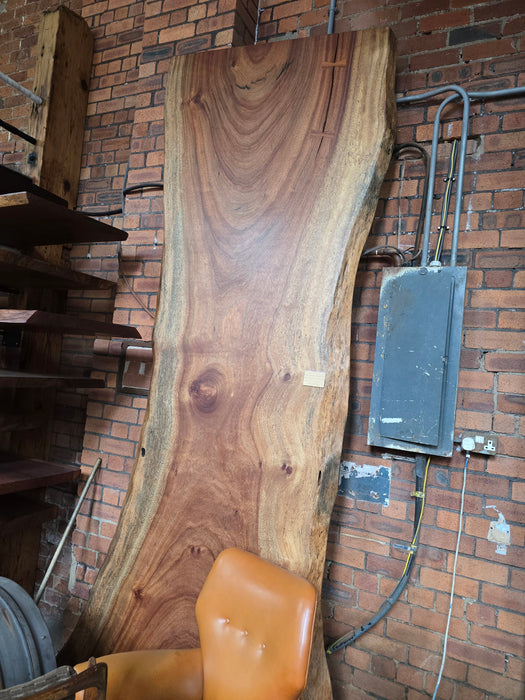Reduxwood Espave Table 6cm x 130 cm x 322cm