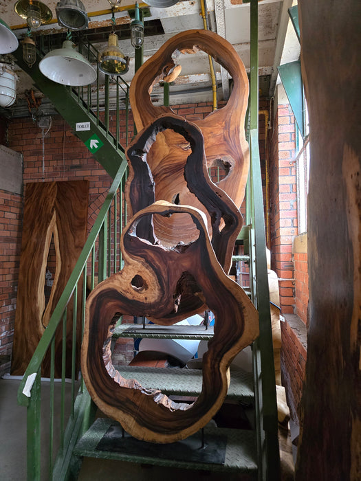 Reduxwood Chamcha Standing hollow 90-120cm x 176cm