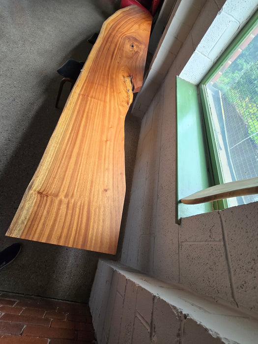 Reduxwood Espave & Zapatero  20-30cm x 146cm