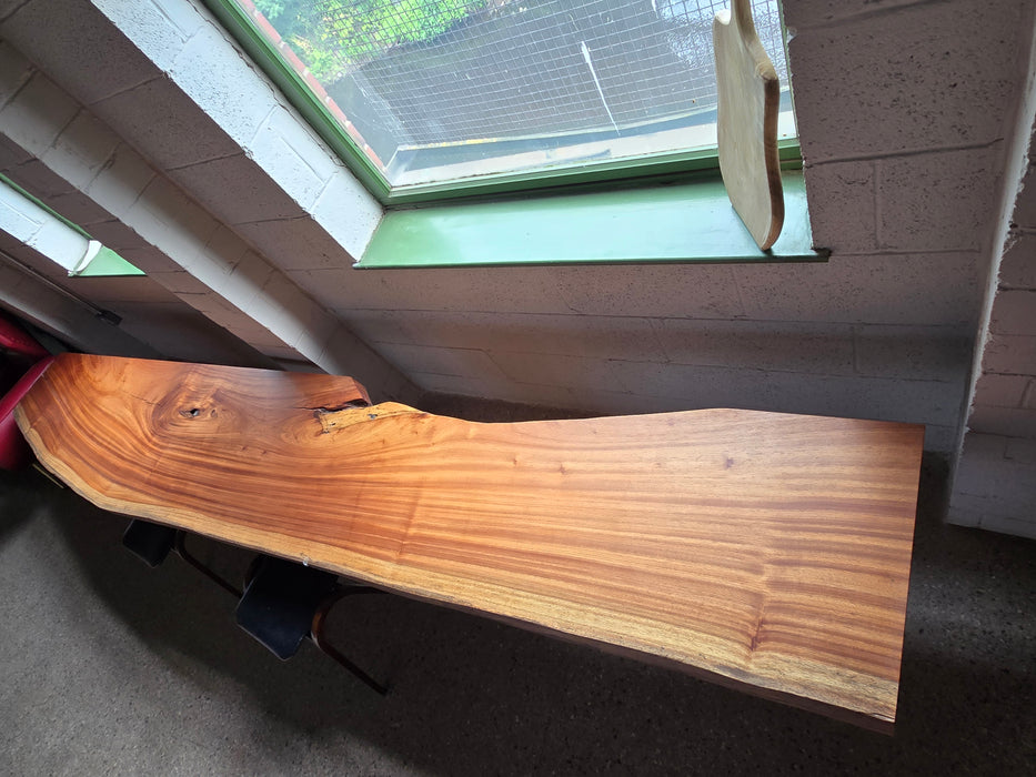 Reduxwood Espave & Zapatero  20-30cm x 146cm