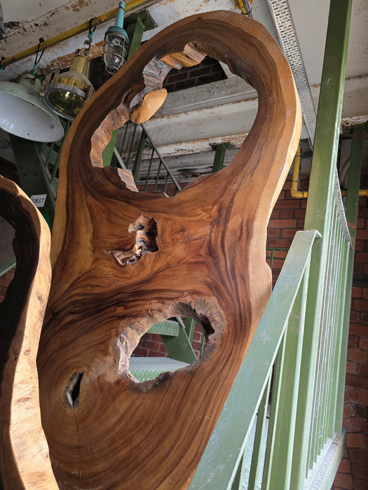 Reduxwood Chamcha Standing hollow 90-120cm x 176cm