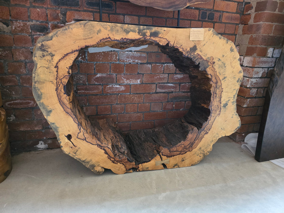 Reduxwood Temarind hollow 35cm x 96cm x 135cm