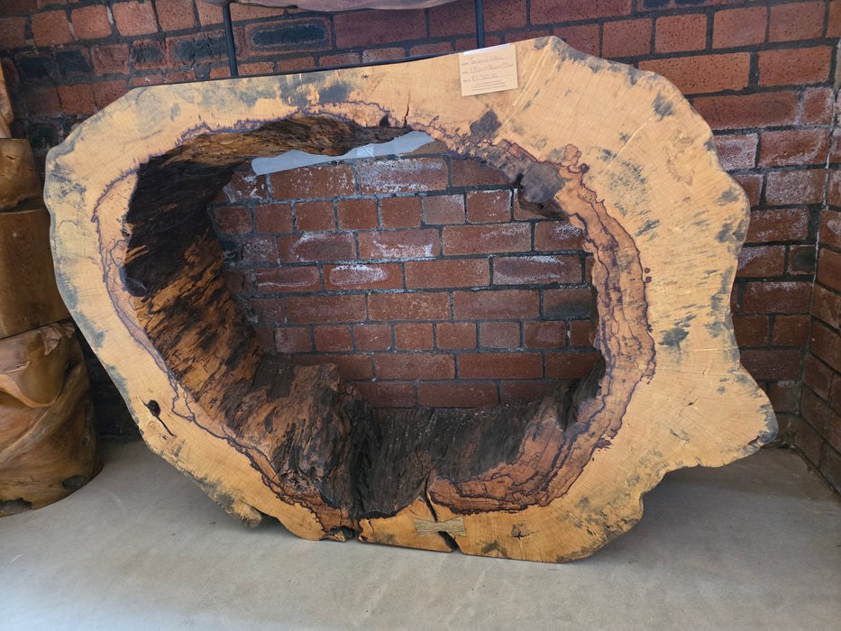 Reduxwood Temarind hollow 35cm x 96cm x 135cm