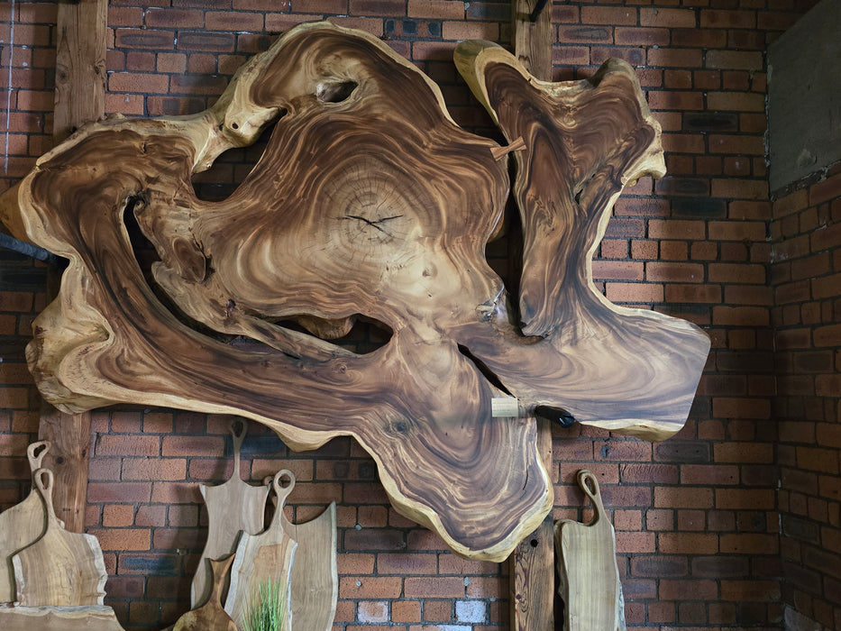 Reduxwood Chamcha root ( SJ06) 200cm x 240cm