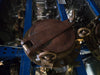 Original salvaged brass ship's porthole, 42cm, with dogs – photo 5