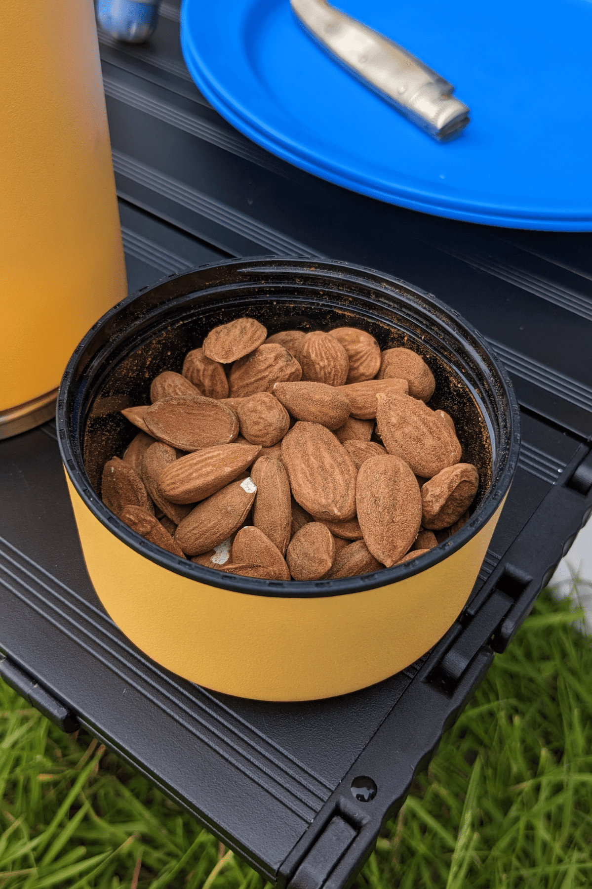 Wild Roots Siesta Snack Bottle 900ml Vacuum Insulated — bananaindustries