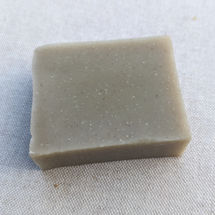 Wild Roots Solid Shampoo