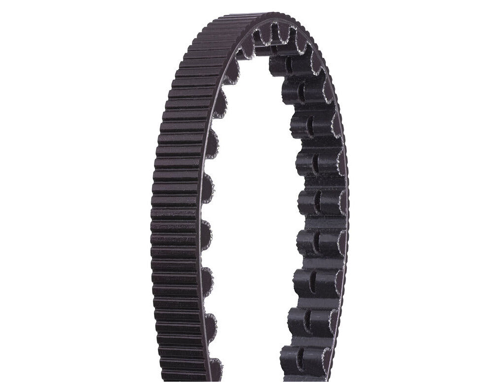 Gates Drive Belt 113T CDXB113 1243mm Black BELT — bananaindustries