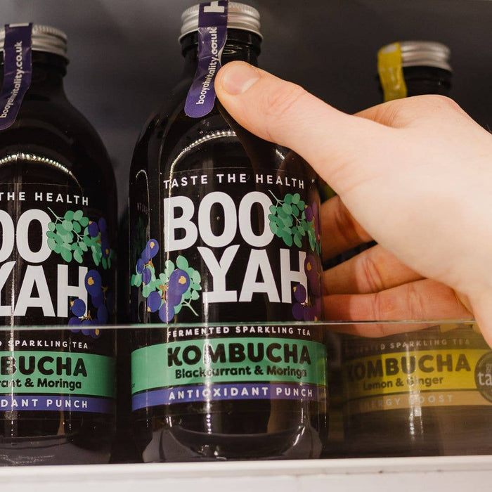 Blackcurrant & Moringa Leaf Kombucha (12 x 330ml)