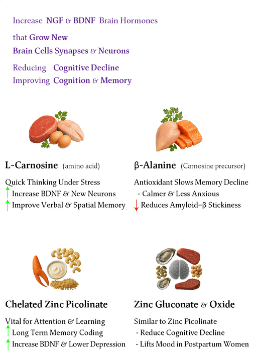IQ2 NMN - Brain & Heart Health - Grow New Brain Cells