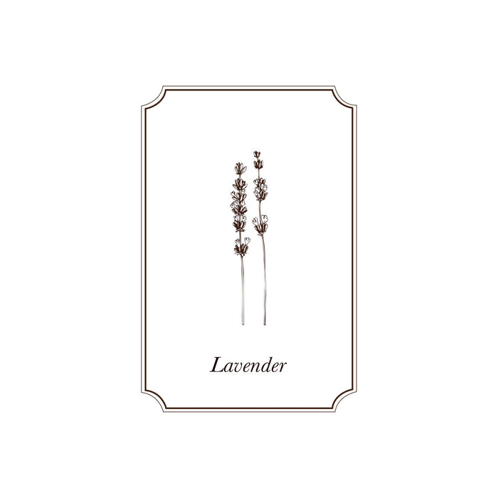 Napiers Lavender Essential Oil