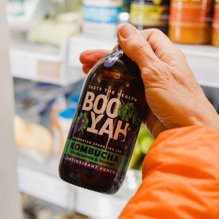 Blackcurrant & Moringa Leaf Kombucha (12 x 330ml)