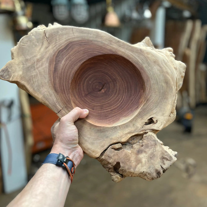 Mimba Burl Slice . L/XL Big ones.