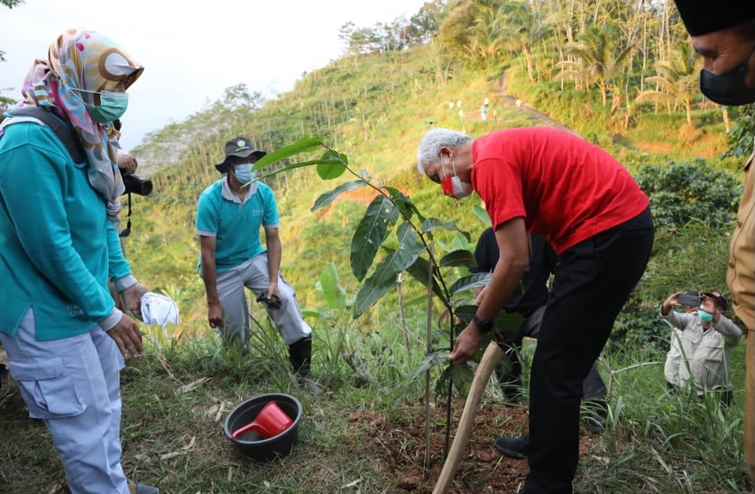 Plant a tree on Sumba Island