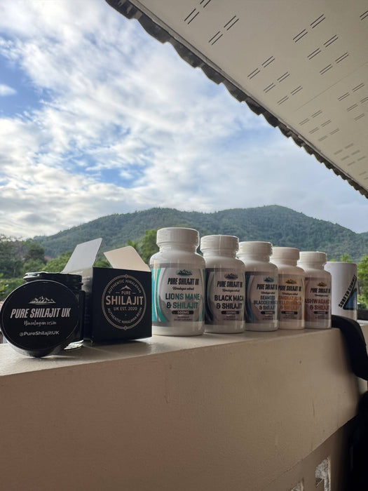 Authentic Himalayan Shilajit Resin – 30g