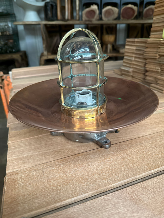 Salvaged Iron passageway Light with Brass cage and copper Shade