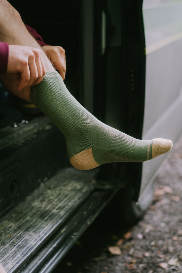 Skate Classics Sock Sage Forest