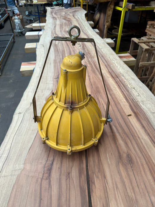 Salvaged Light JTC-53