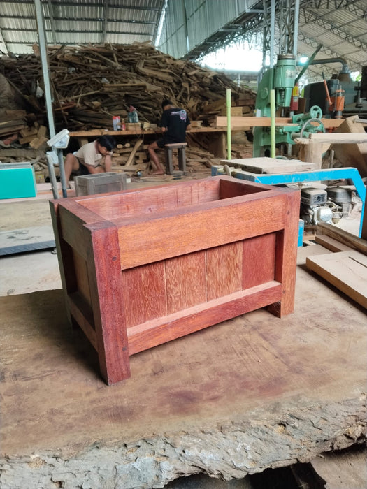 Wild Roots (Seed) Box