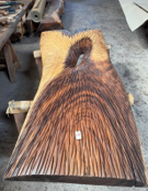 Reduxwood Chamcha Chainsaw Slab 12cm x 90cm x 214cm
