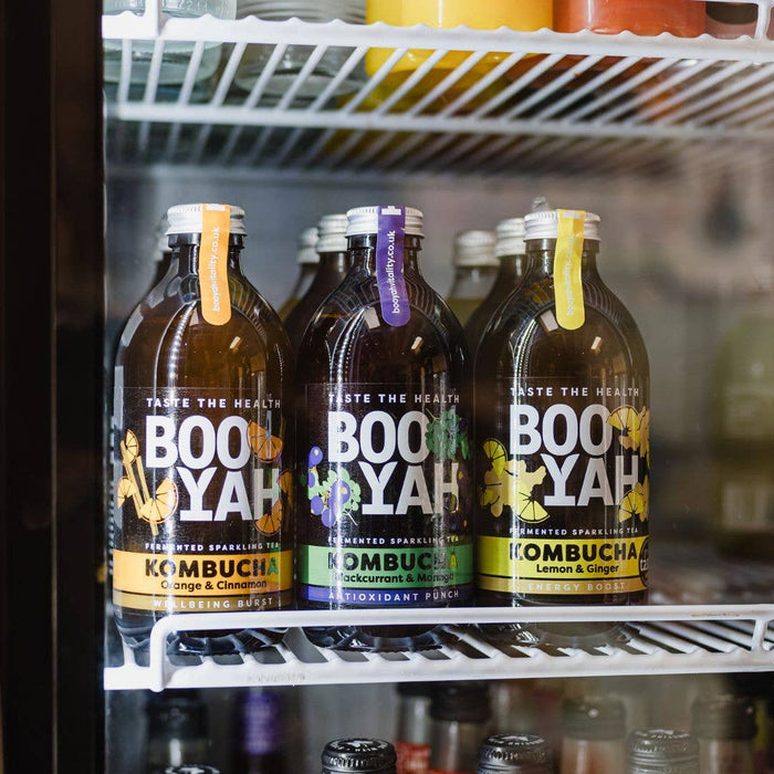 Mixed Case Kombucha (12 x 330ml)