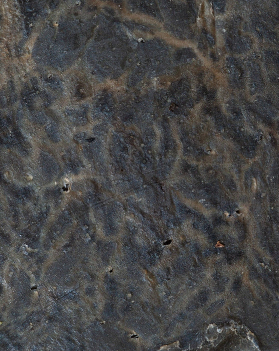 “Balm and Bee” Deep Cleansing Pine Tar Soap 4oz