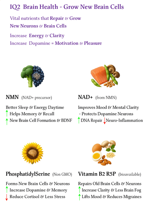 IQ2 NMN - Brain & Heart Health - Grow New Brain Cells