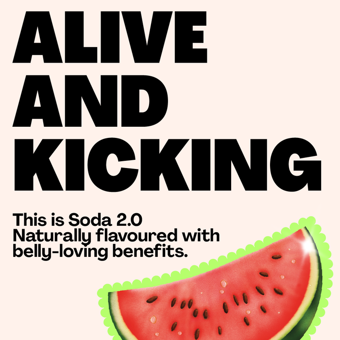 Lemon & Ginger Prebiotic Soda - Living Things