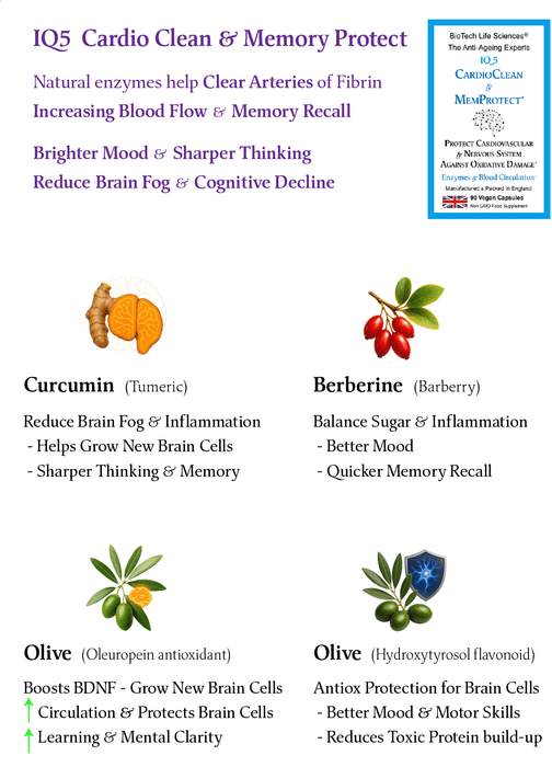 IQ5 Memory Protect & Clean Arteries, Protect against damage