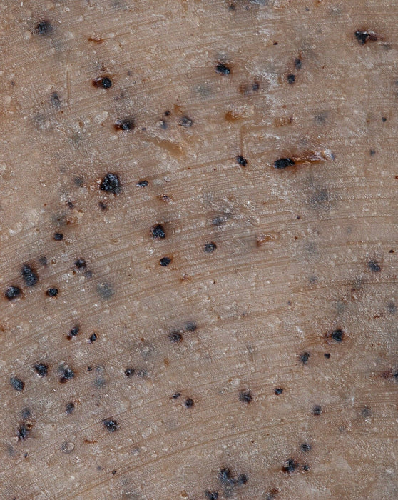 Balm and Bee Coffee House Coffee Ground Exfoliating Soap 4oz