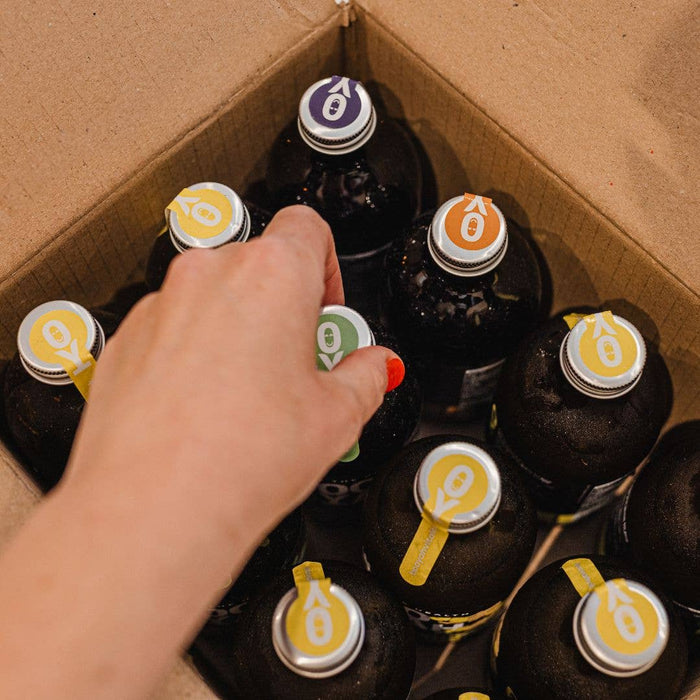 Mixed Case Kombucha (12 x 330ml)