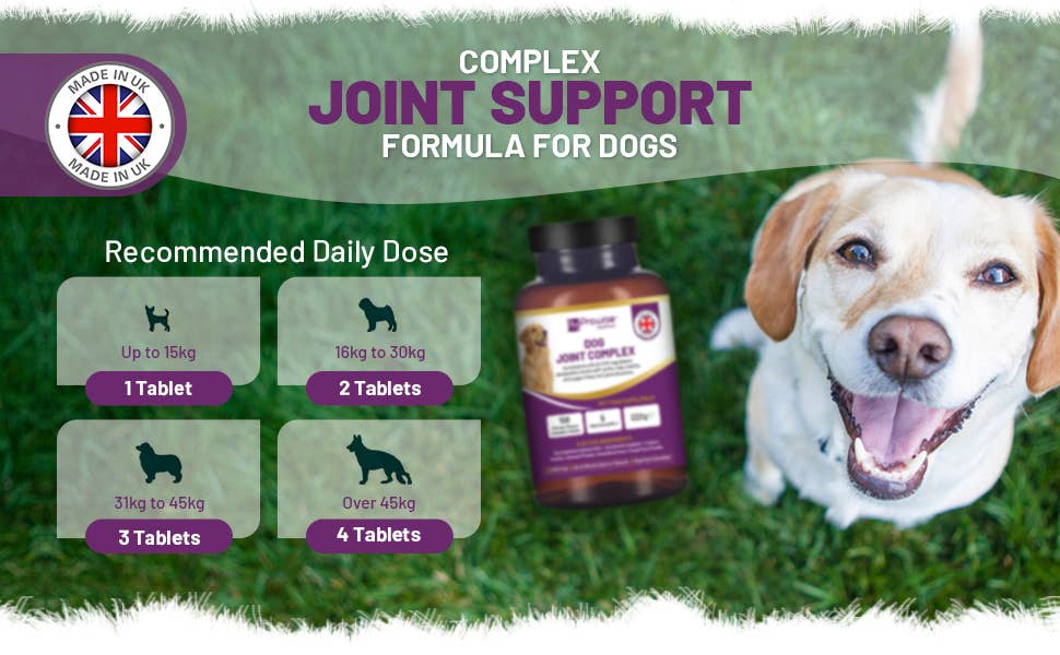 Prowise Dog Joint Supplement UK Manufactured I 150 Chicken Flavor Ch
