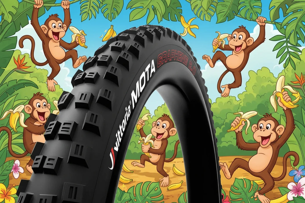 Vittoria Mota Graphene Enduro 29x35 folding black