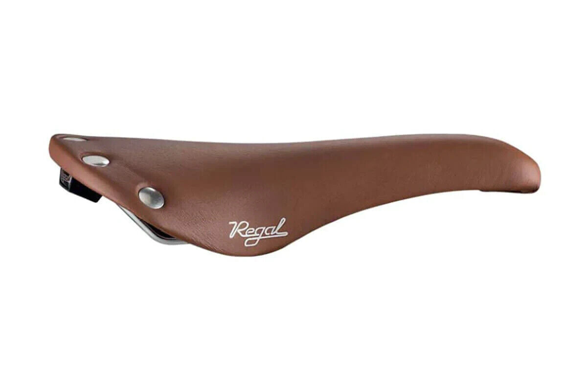 Selle San Marco REGAL titanioサドル